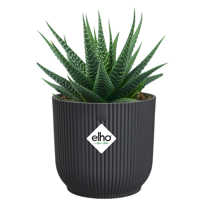 vibes fold rond mini 11cm anthracite